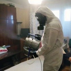 Дезинфекция от клопов в Вязниках
