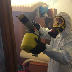 Уничтожение клопов в квартире. Вязники